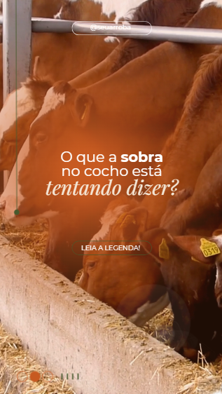 Captura de tela 2026-07-15 153518