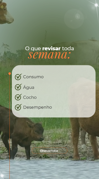 Captura de tela 2026-07-15 153751