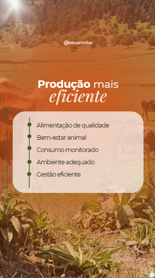 Captura de tela 2026-07-15 153819