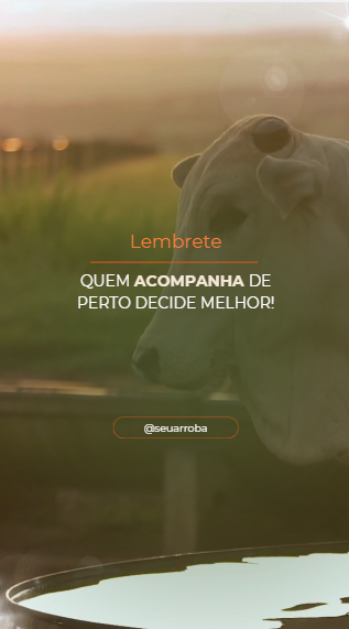Captura de tela 2026-07-15 153908