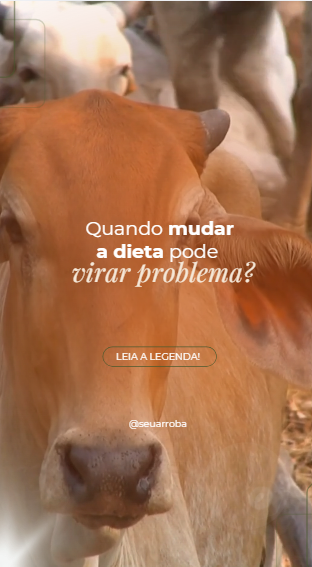 Captura de tela 2026-07-15 153946