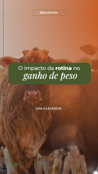 Captura de tela 2026-07-15 154025
