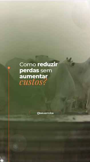 Captura de tela 2026-07-15 154115