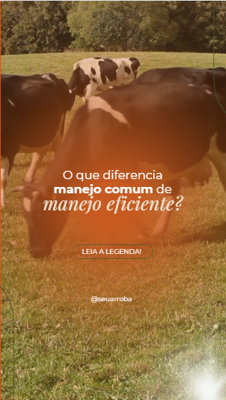 Captura de tela 2026-07-15 154143