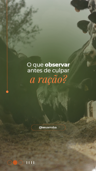 Captura de tela 2026-07-15 154238
